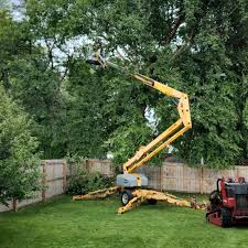 Best Lawn Maintenance Plans  in Whitewright, TX